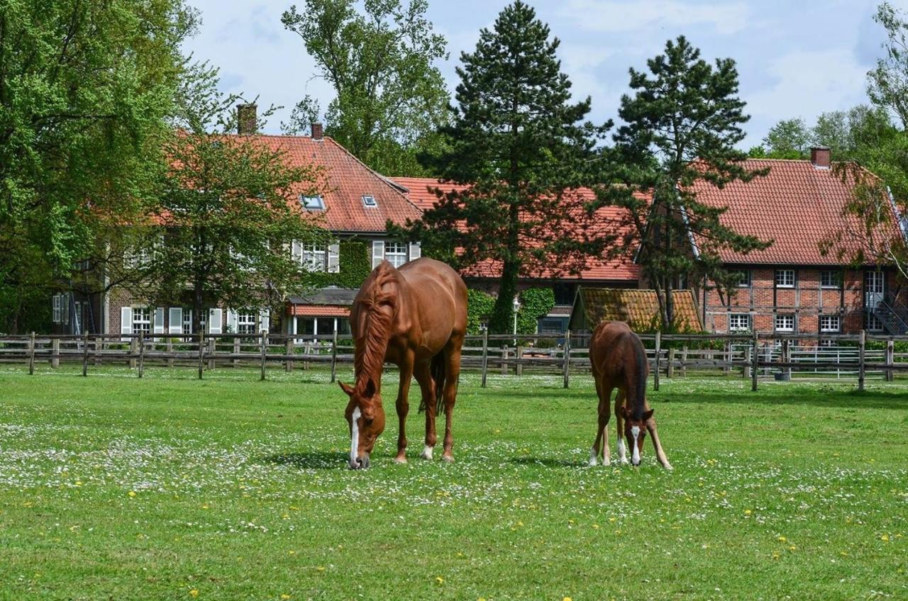 Ferienwohnungen Georgenbruch Everswinkel Екстер'єр фото